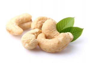 Cashew with leaves